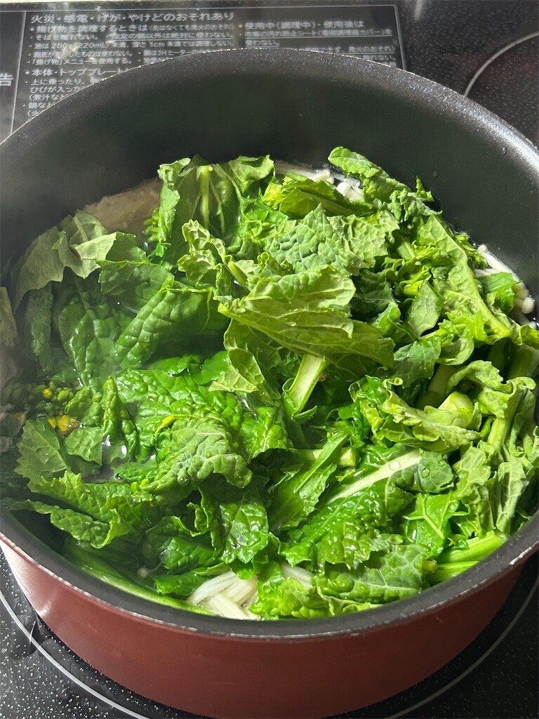 f:id:Magnoliarida:20250208095452j:image f:id:Magnoliarida:20250208095452j:image