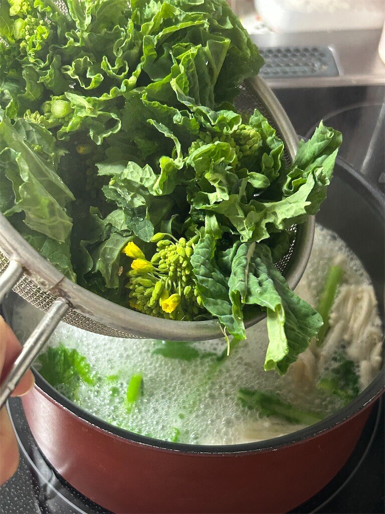 f:id:Magnoliarida:20250208095455j:image f:id:Magnoliarida:20250208095455j:image