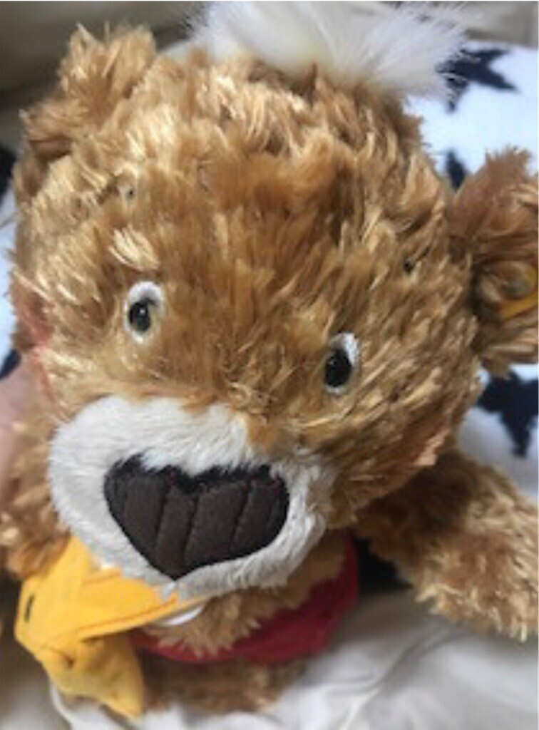 f:id:Magnoliarida:20250208234701j:image