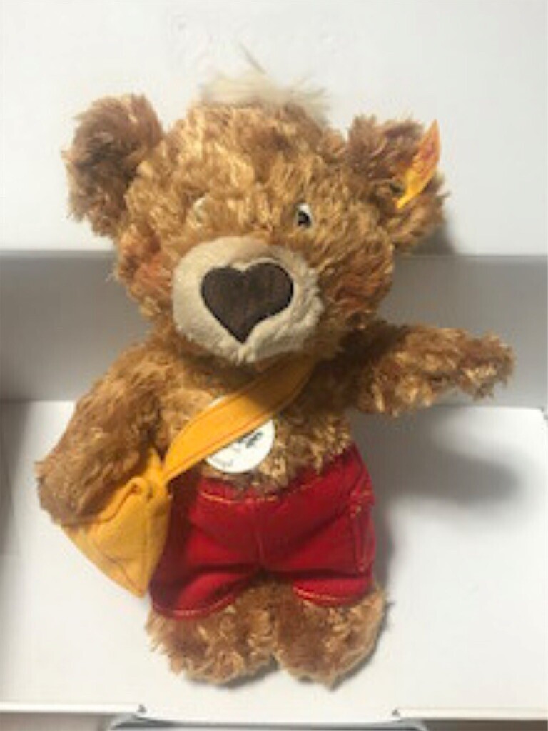 f:id:Magnoliarida:20250208234705j:image