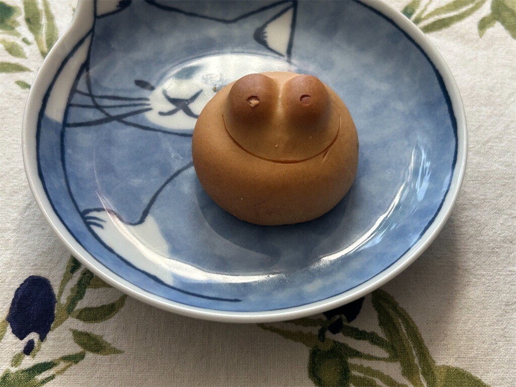 f:id:Magnoliarida:20250212083104j:image