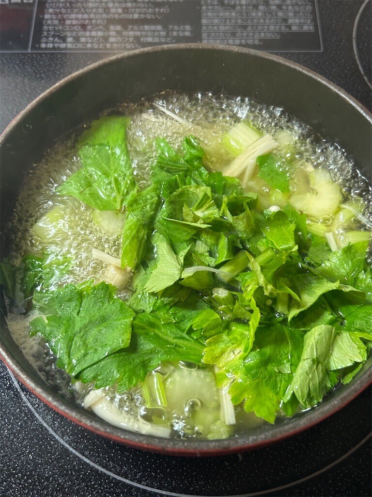 f:id:Magnoliarida:20250214084732j:image f:id:Magnoliarida:20250214084732j:image