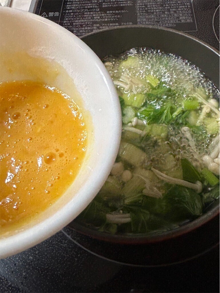 f:id:Magnoliarida:20250214084805j:image f:id:Magnoliarida:20250214084805j:image