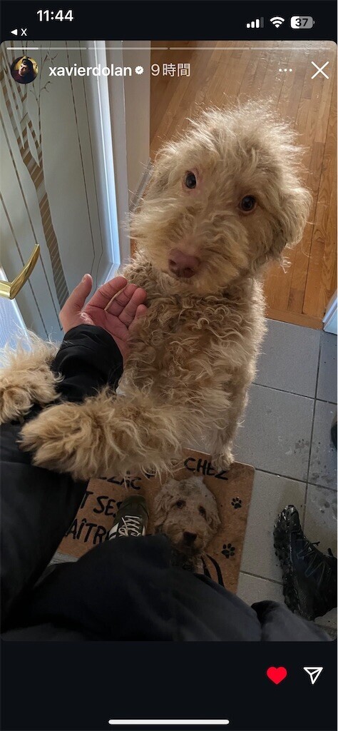 f:id:Magnoliarida:20250214091537j:image f:id:Magnoliarida:20250214091537j:image