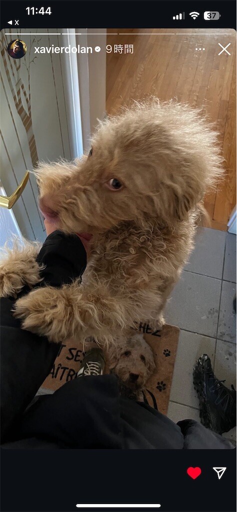 f:id:Magnoliarida:20250214091541j:image f:id:Magnoliarida:20250214091541j:image