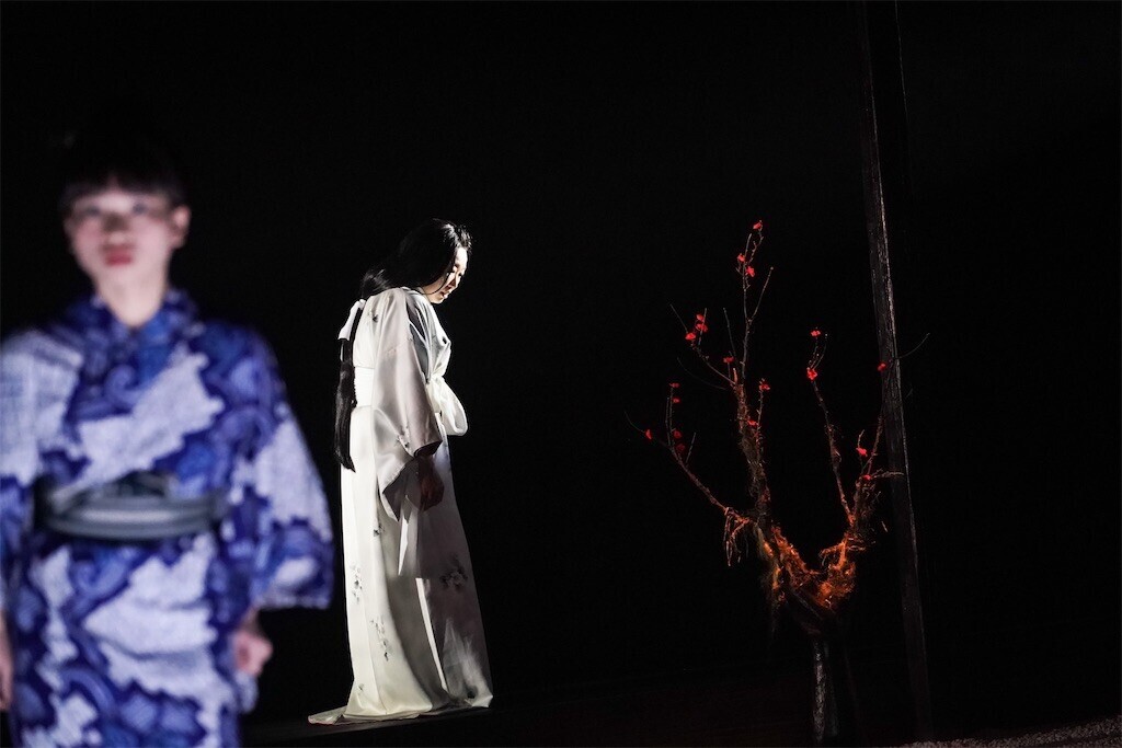 f:id:Magnoliarida:20250214111757j:image