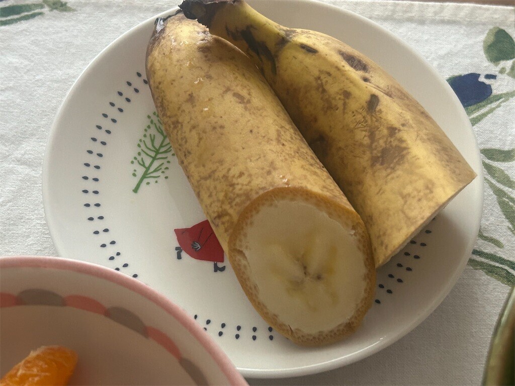 f:id:Magnoliarida:20250219074905j:image f:id:Magnoliarida:20250219074905j:image