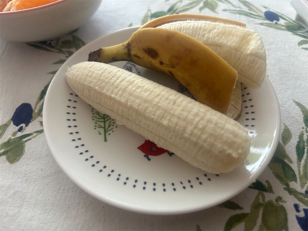 f:id:Magnoliarida:20250219074909j:image f:id:Magnoliarida:20250219074909j:image