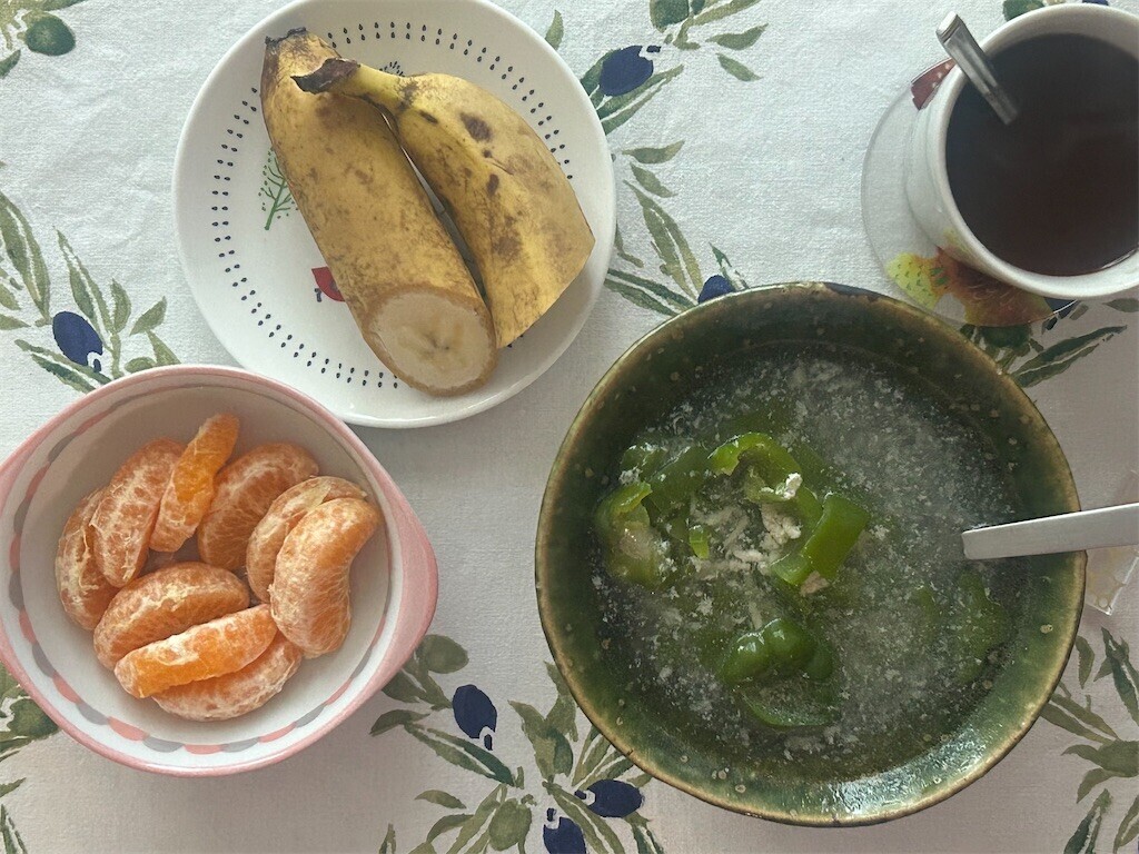 f:id:Magnoliarida:20250219074913j:image f:id:Magnoliarida:20250219074913j:image