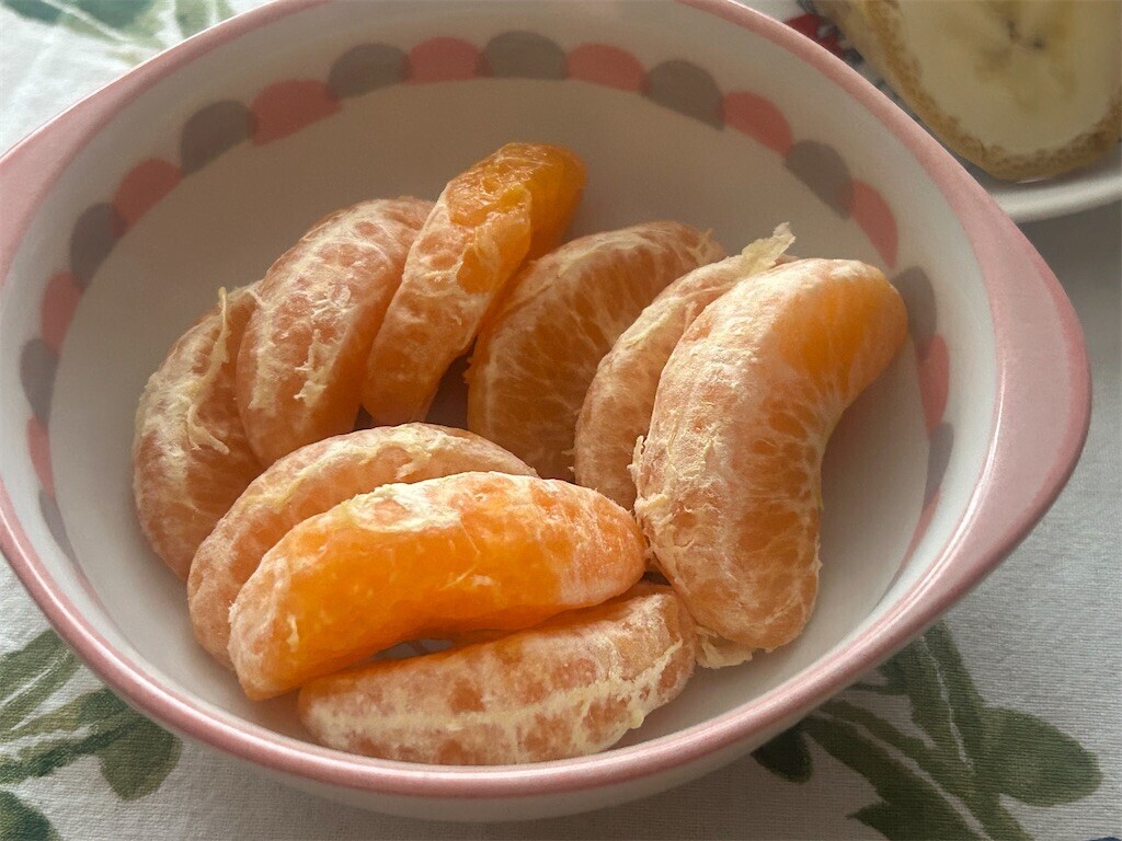 f:id:Magnoliarida:20250219074917j:image f:id:Magnoliarida:20250219074917j:image