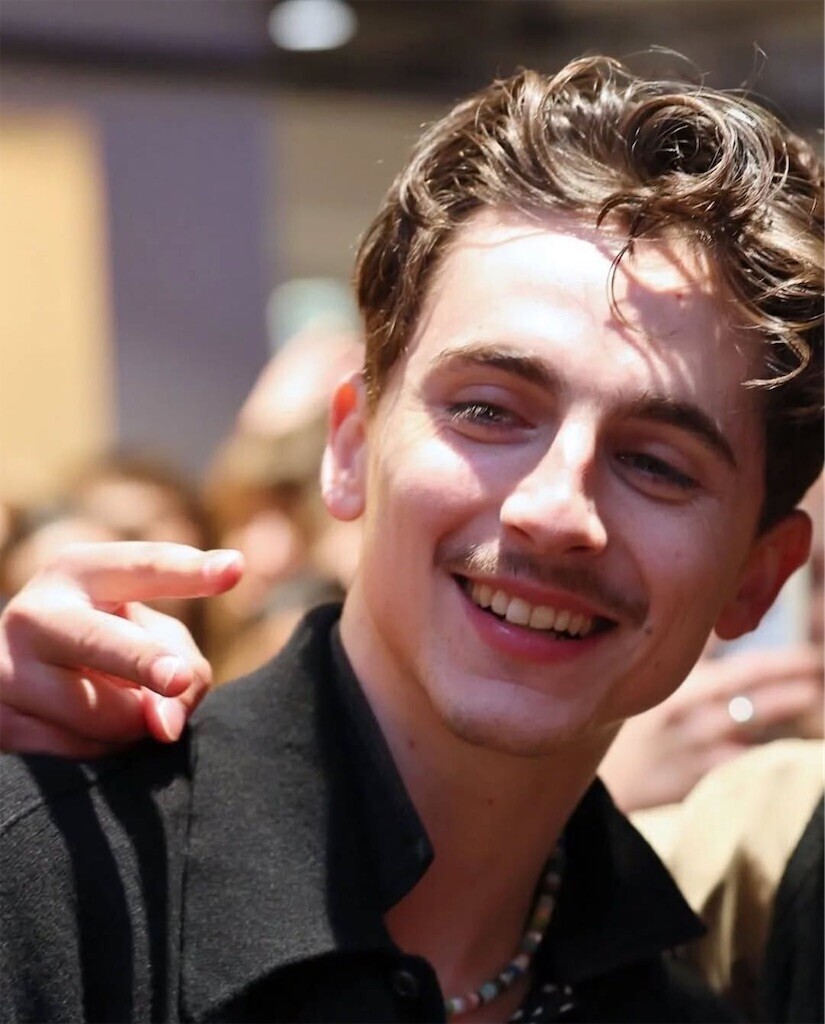 f:id:Magnoliarida:20250219091311j:image