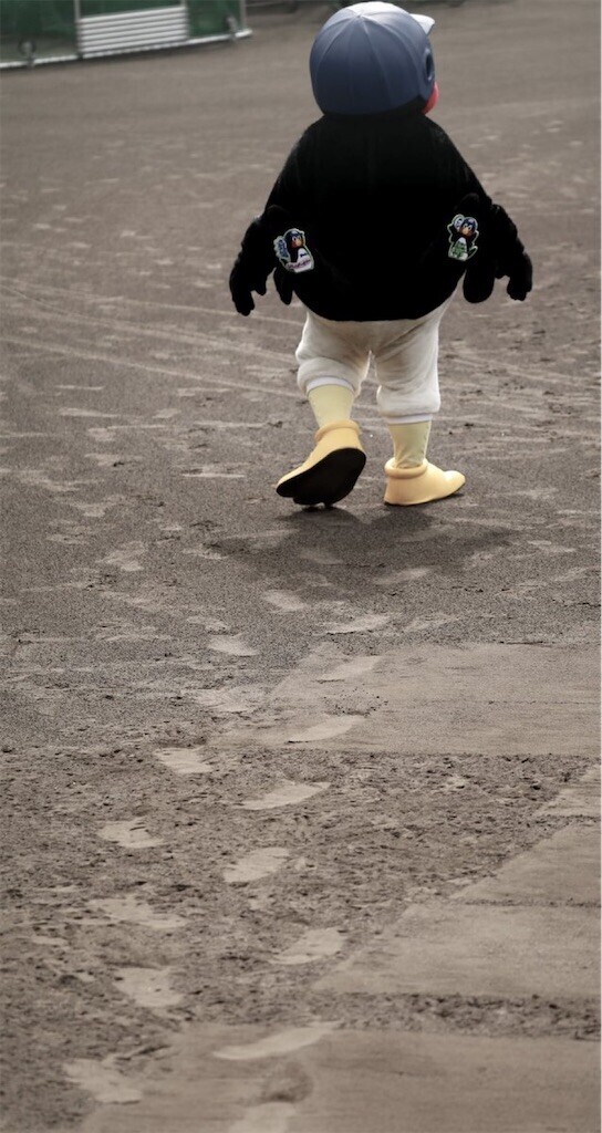 f:id:Magnoliarida:20250220085442j:image f:id:Magnoliarida:20250220085442j:image