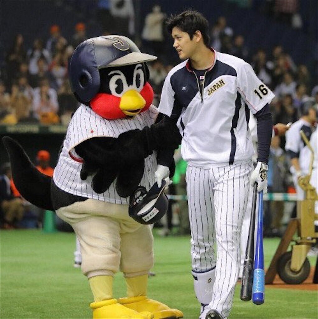 f:id:Magnoliarida:20250220091442j:image f:id:Magnoliarida:20250220091442j:image