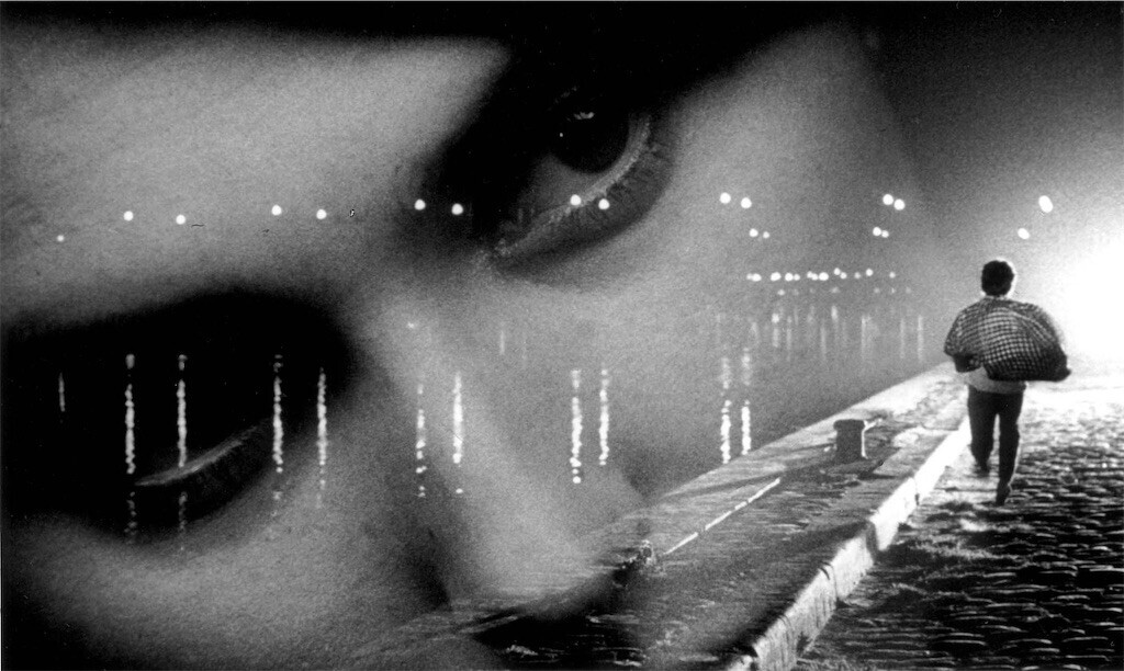 f:id:Magnoliarida:20250226020522j:image