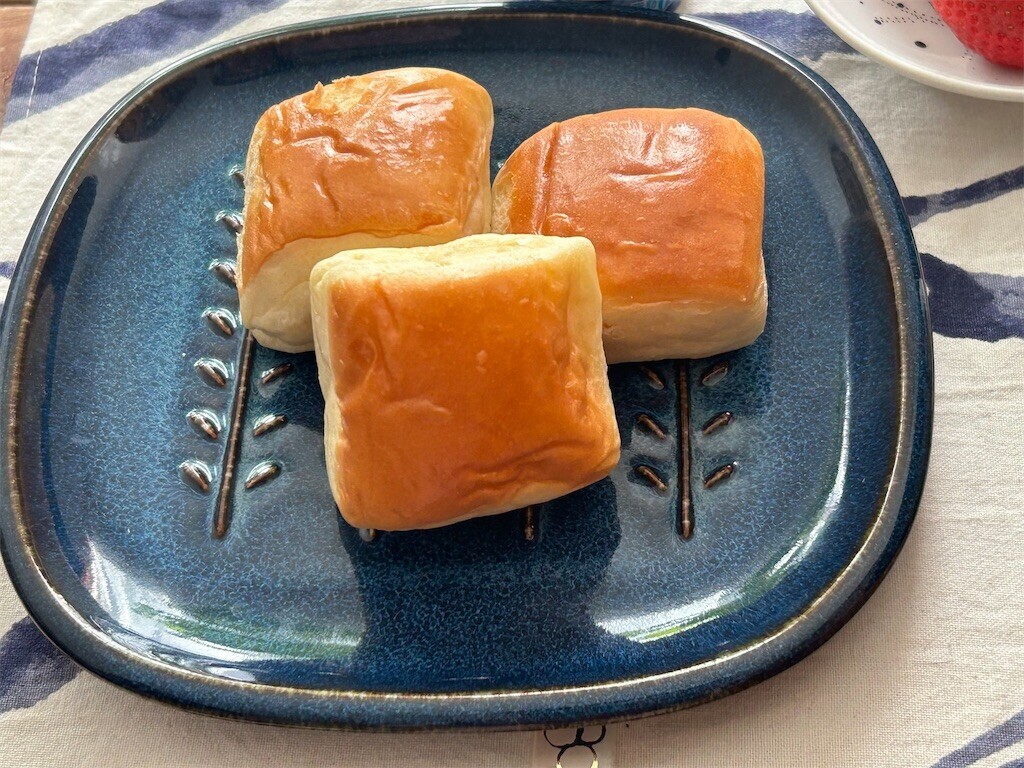 f:id:Magnoliarida:20250307083253j:image