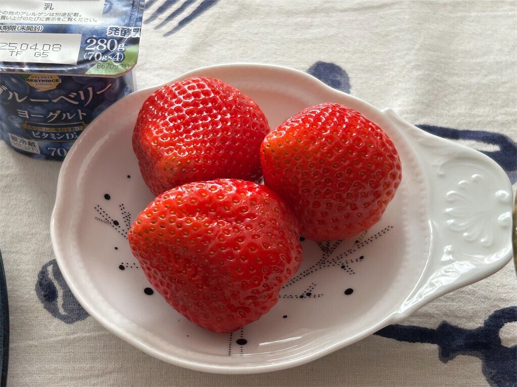 f:id:Magnoliarida:20250307083302j:image