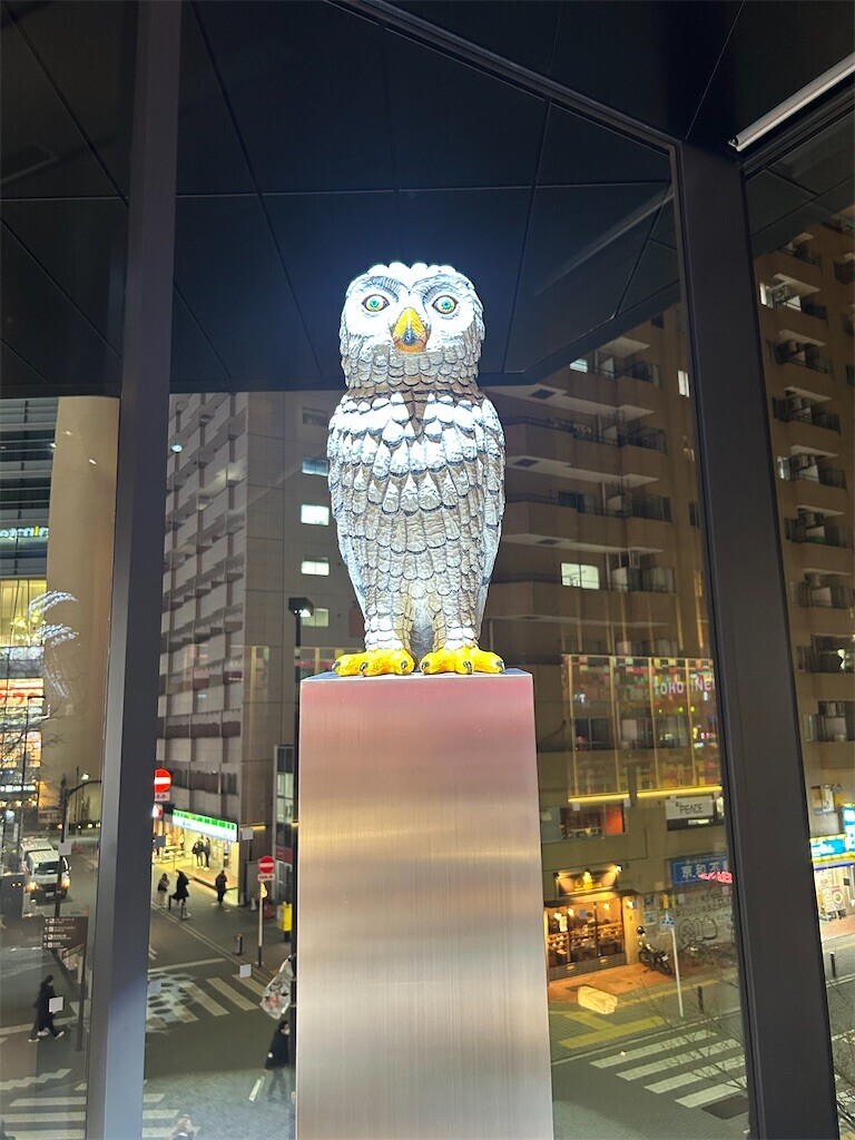 f:id:Magnoliarida:20250308102018j:image