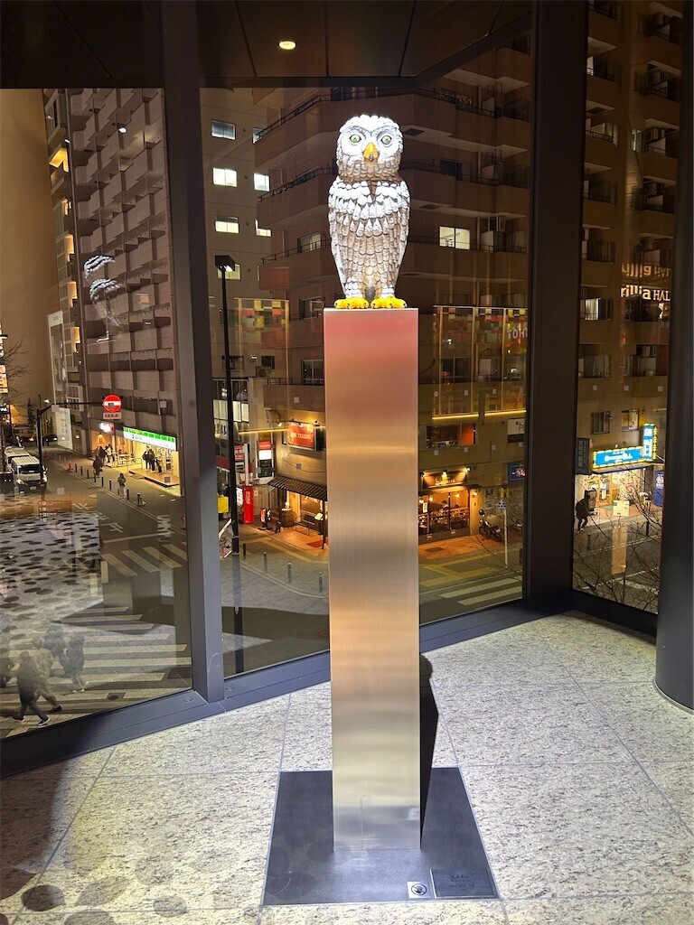 f:id:Magnoliarida:20250308102022j:image