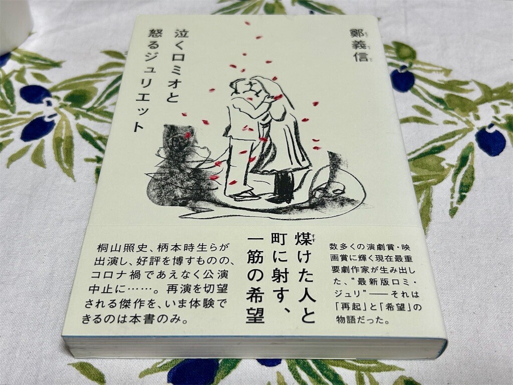 f:id:Magnoliarida:20250308214136j:image