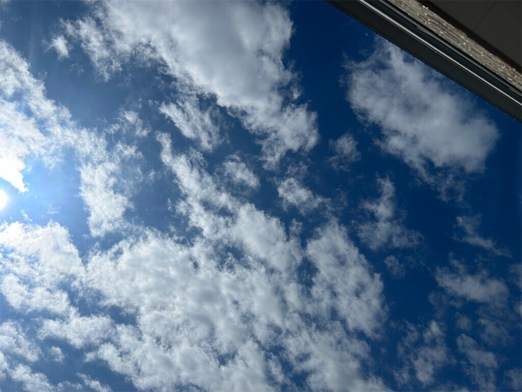 f:id:Magnoliarida:20250320101253j:image f:id:Magnoliarida:20250320101253j:image