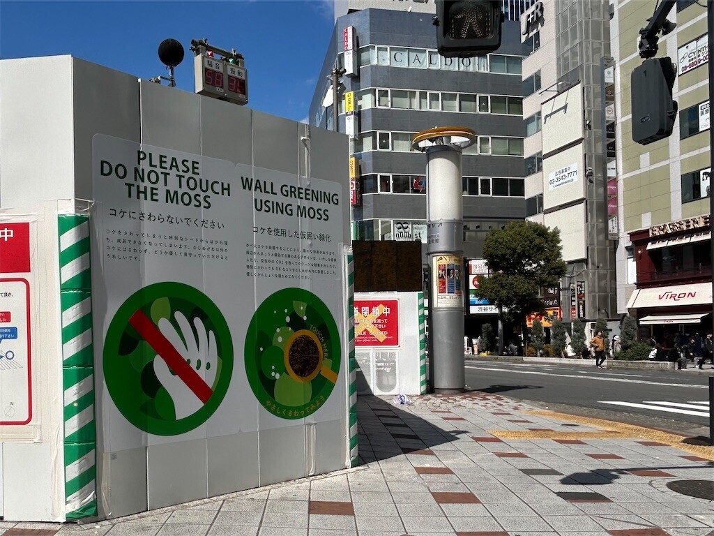 f:id:Magnoliarida:20250320201636j:image f:id:Magnoliarida:20250320201636j:image