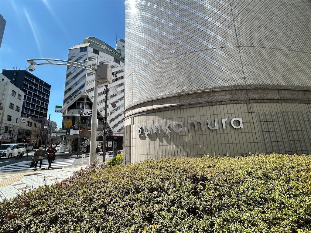 f:id:Magnoliarida:20250320201643j:image f:id:Magnoliarida:20250320201643j:image