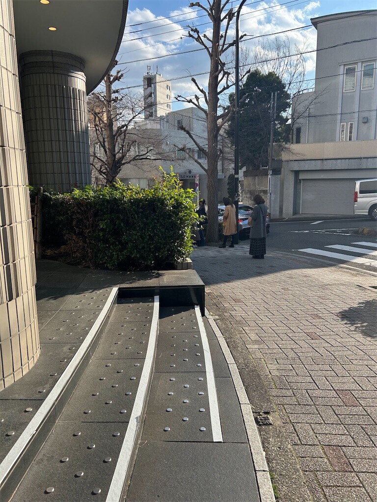 f:id:Magnoliarida:20250320202207j:image f:id:Magnoliarida:20250320202207j:image