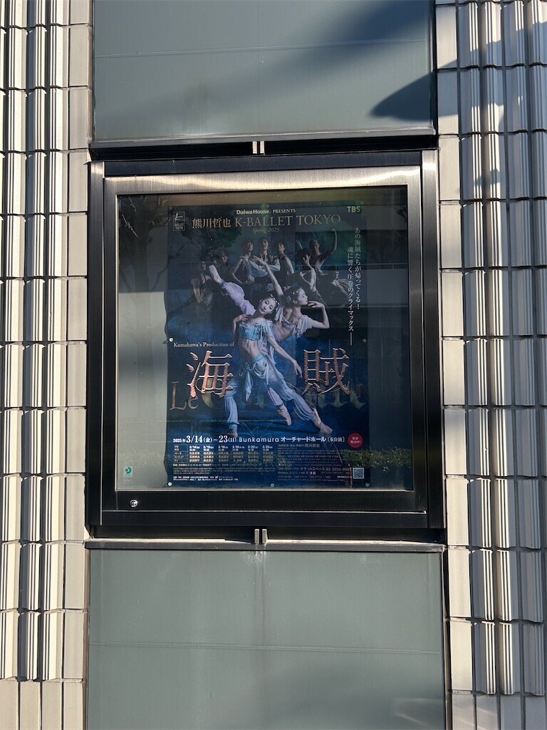 f:id:Magnoliarida:20250320202244j:image f:id:Magnoliarida:20250320202244j:image