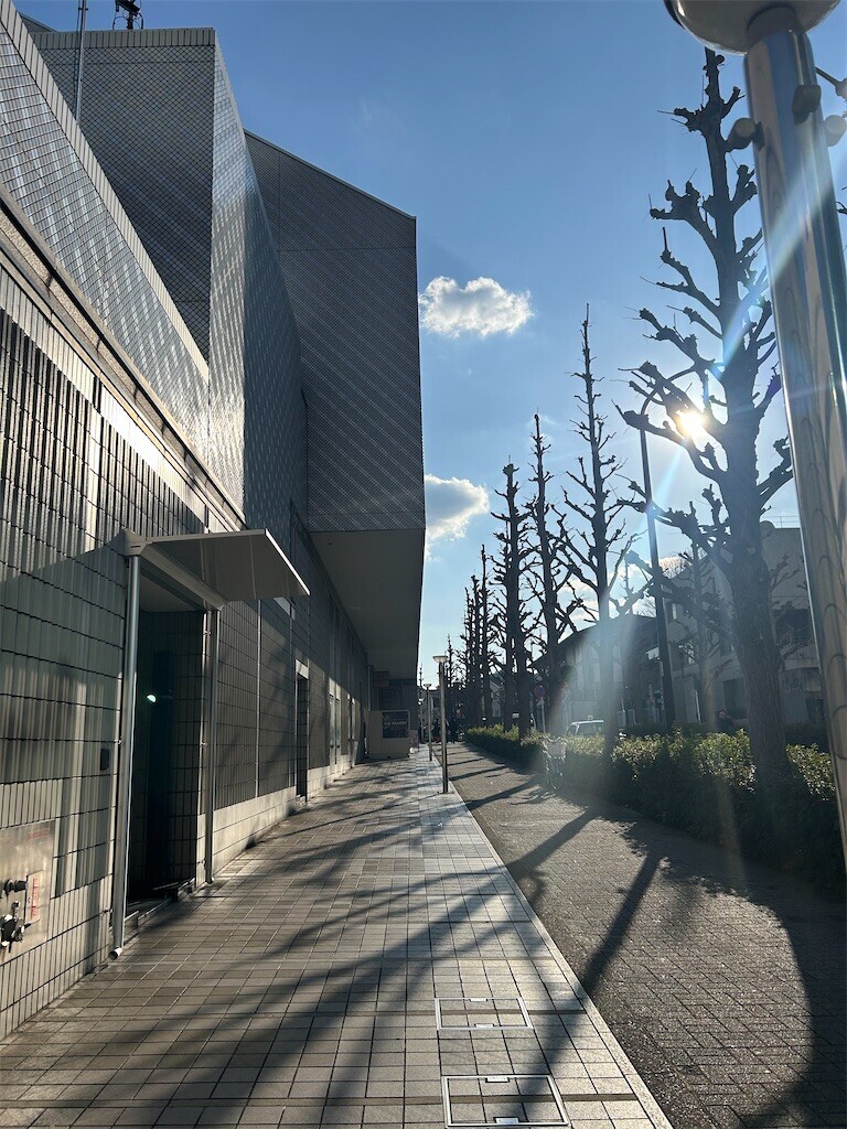 f:id:Magnoliarida:20250320202347j:image f:id:Magnoliarida:20250320202347j:image