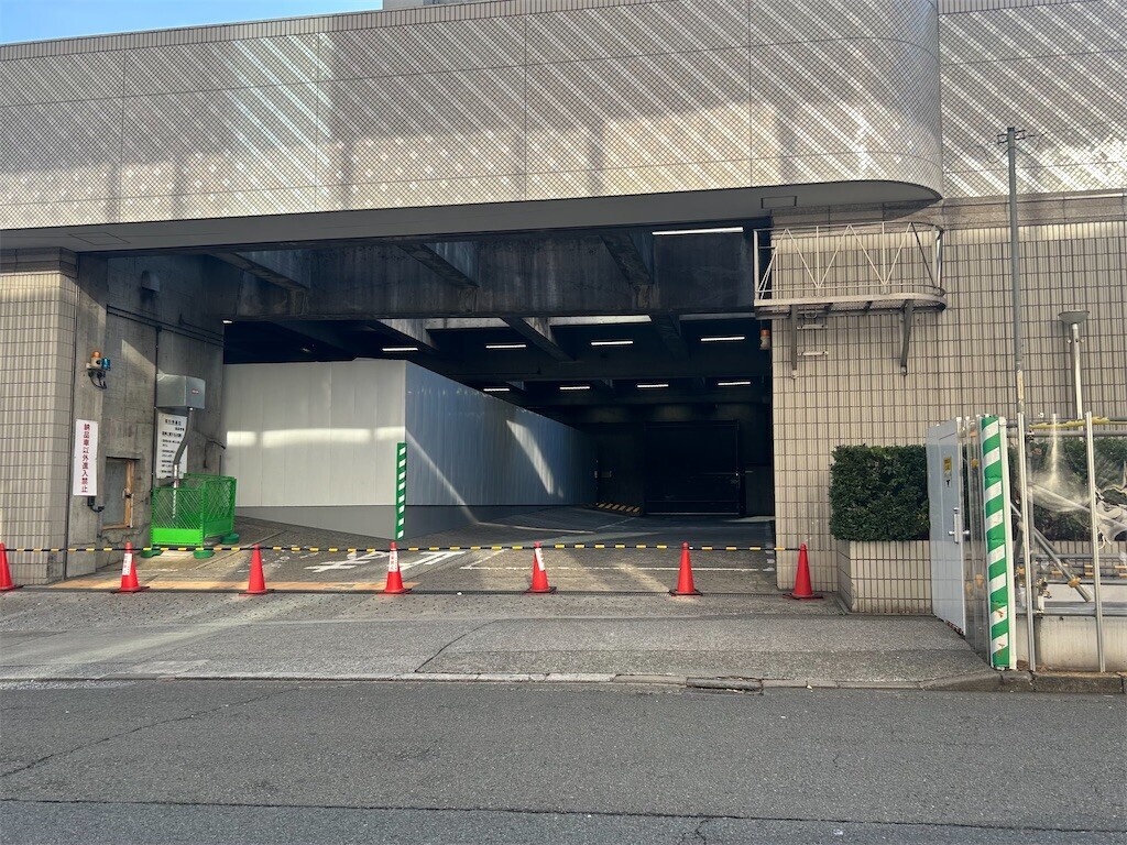 f:id:Magnoliarida:20250320202829j:image f:id:Magnoliarida:20250320202829j:image