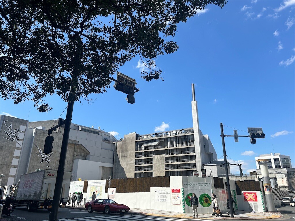 f:id:Magnoliarida:20250320203102j:image f:id:Magnoliarida:20250320203102j:image