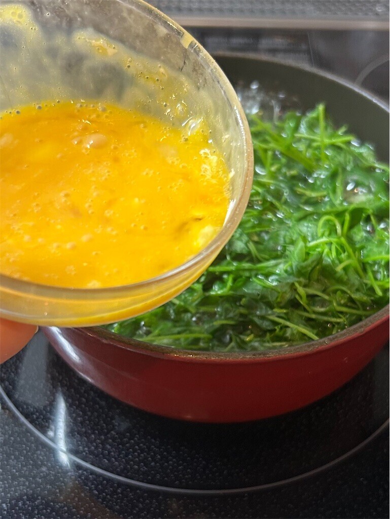 f:id:Magnoliarida:20250328081411j:image