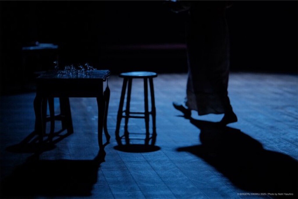 f:id:Magnoliarida:20250401090303j:image