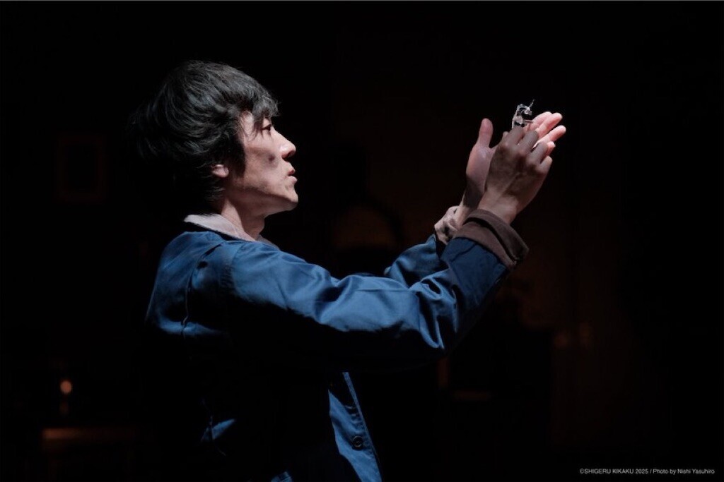 f:id:Magnoliarida:20250401090313j:image