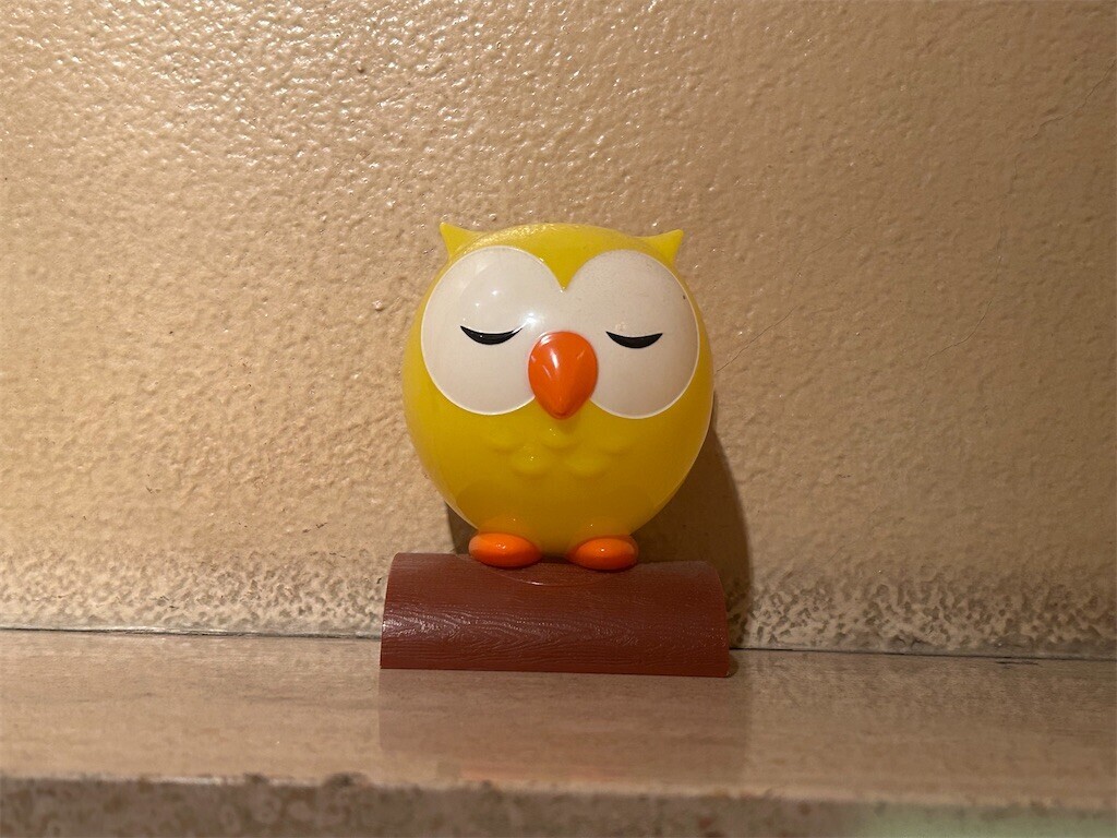 f:id:Magnoliarida:20250411001843j:image f:id:Magnoliarida:20250411001843j:image