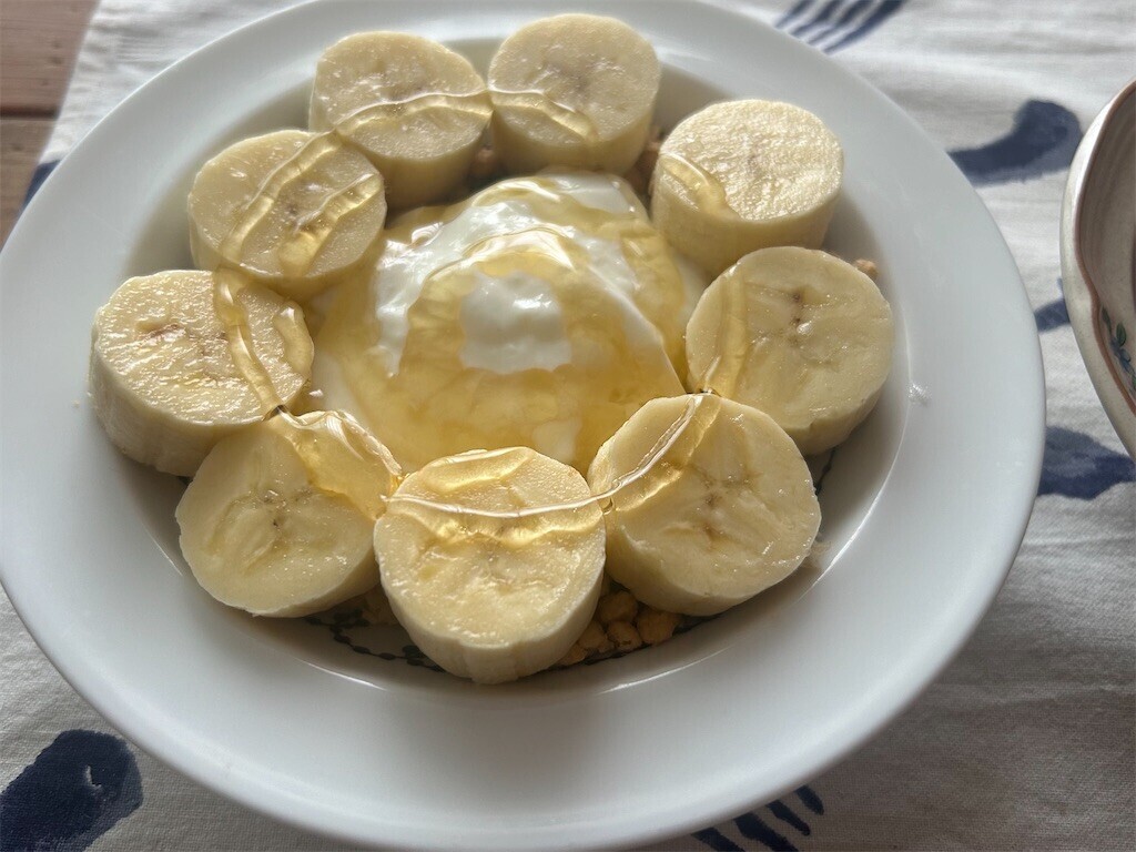 f:id:Magnoliarida:20250420101356j:image