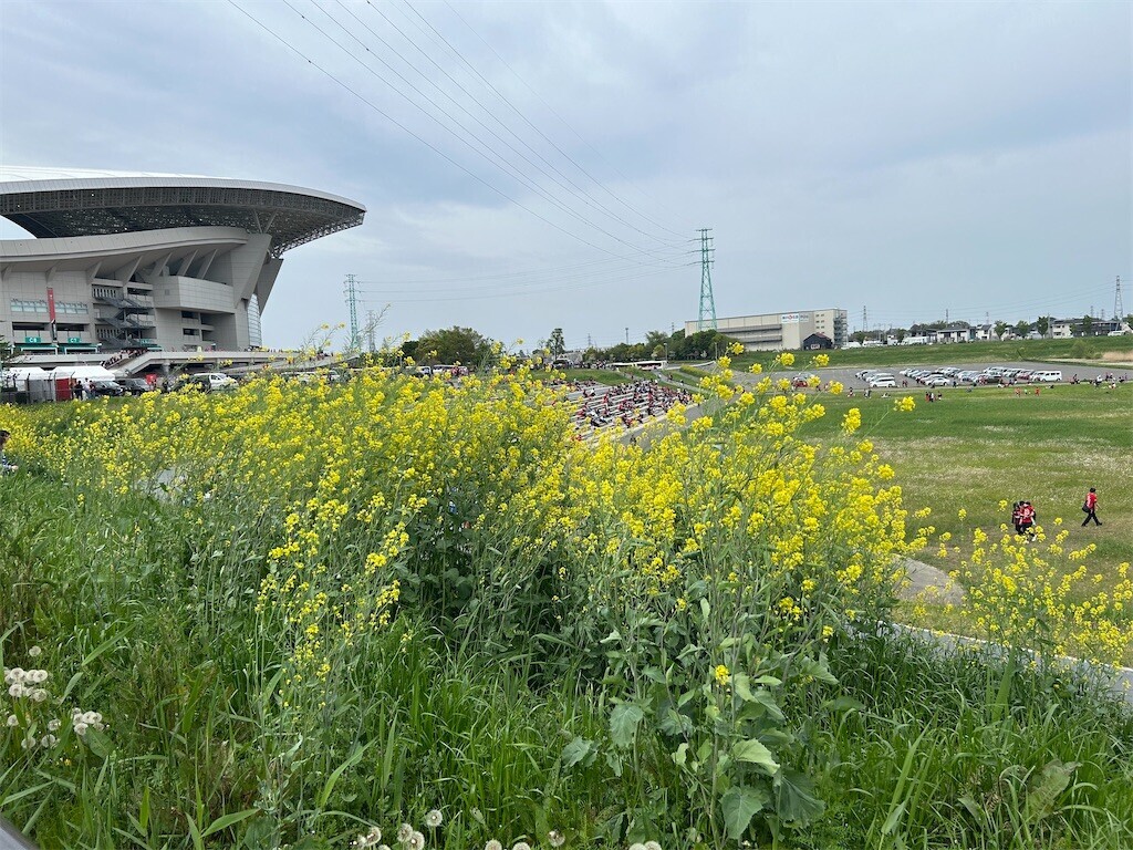 f:id:Magnoliarida:20250421084446j:image f:id:Magnoliarida:20250421084446j:image