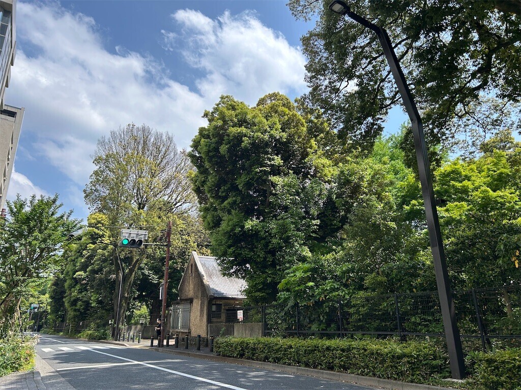 f:id:Magnoliarida:20250504224104j:image