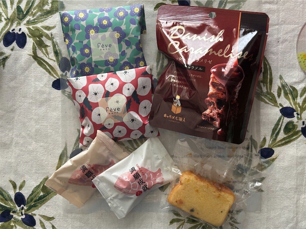 f:id:Magnoliarida:20250510093038j:image