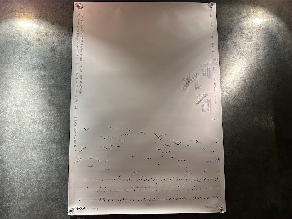 f:id:Magnoliarida:20250512010328j:image f:id:Magnoliarida:20250512010328j:image