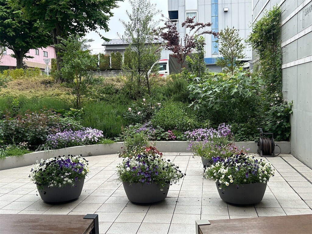 f:id:Magnoliarida:20250512230158j:image