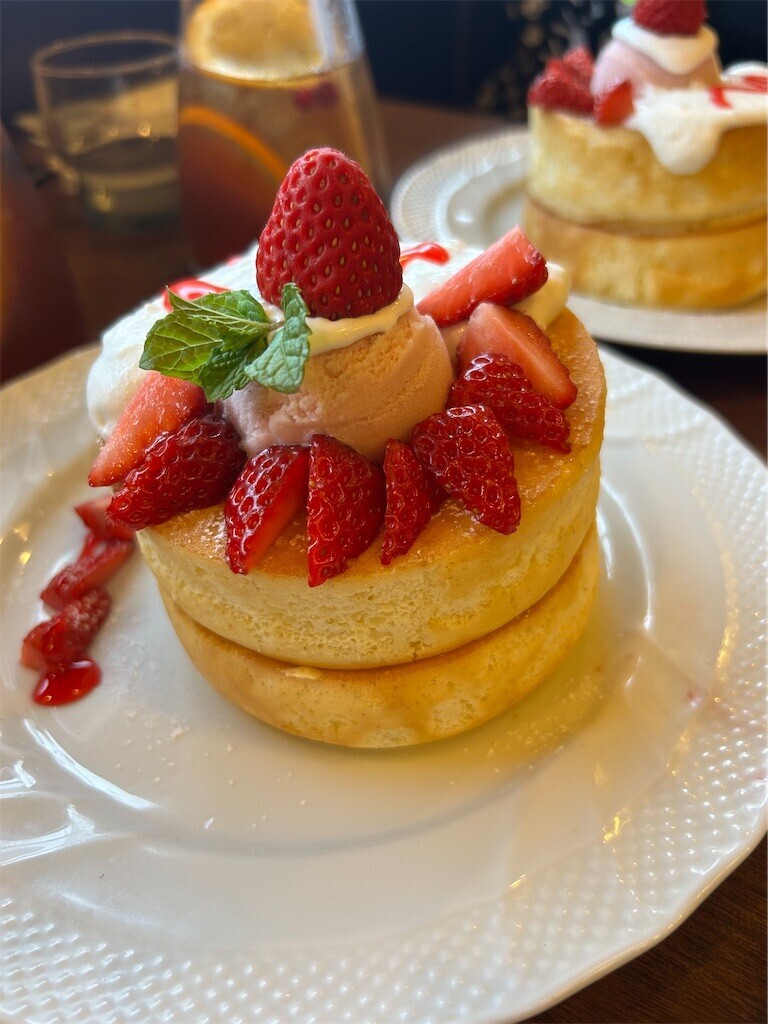 f:id:Magnoliarida:20250512230521j:image