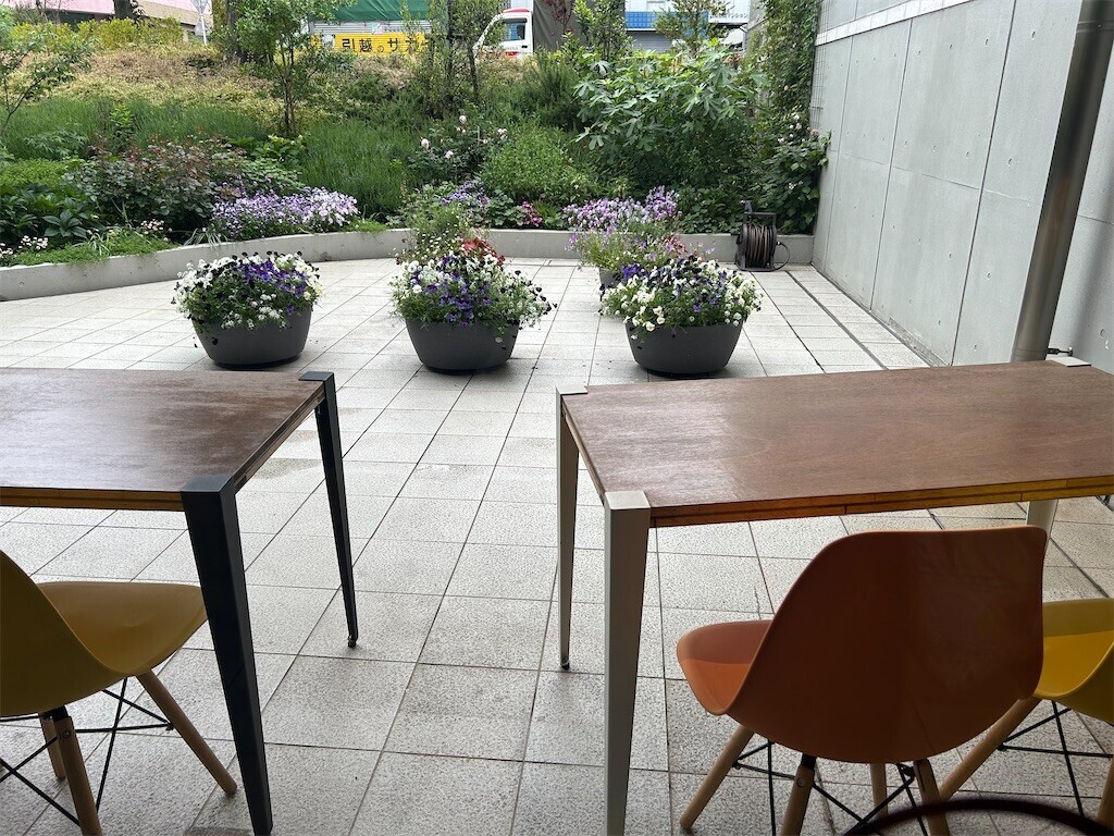 f:id:Magnoliarida:20250512230547j:image