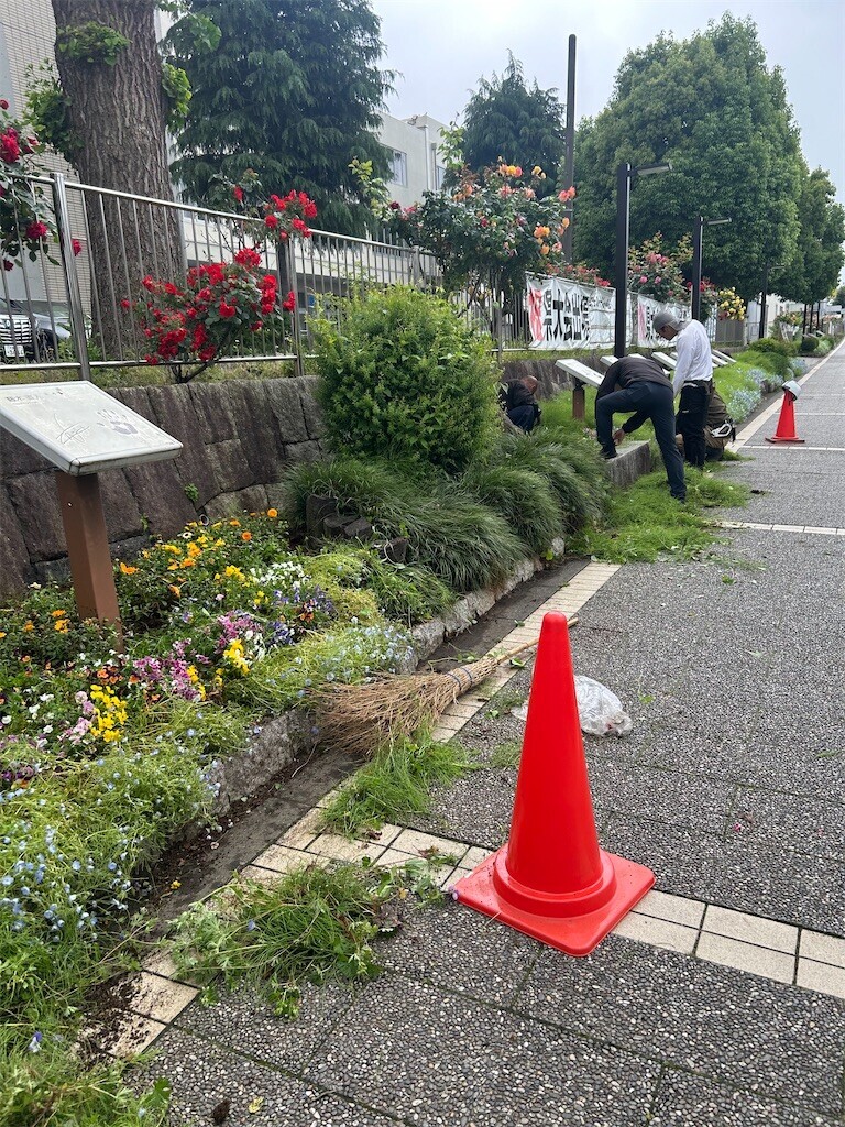 f:id:Magnoliarida:20250513085135j:image