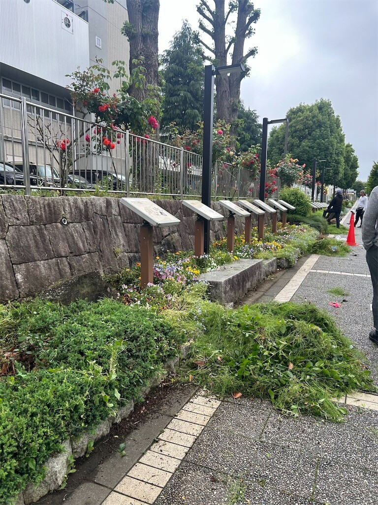 f:id:Magnoliarida:20250513085141j:image