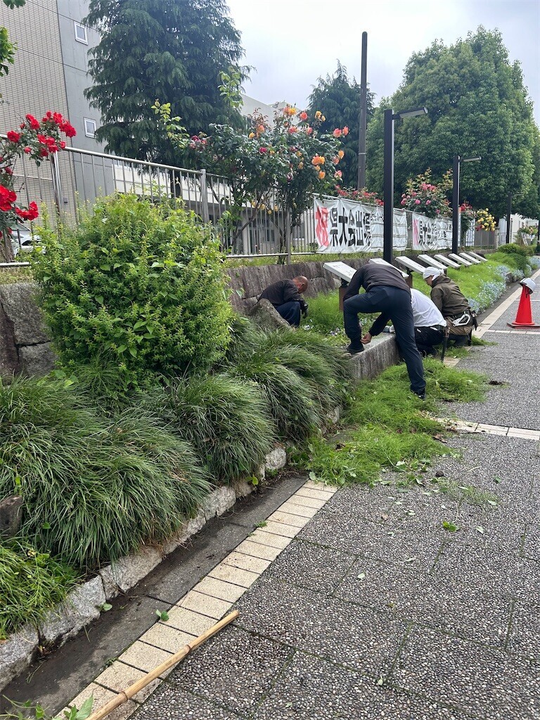 f:id:Magnoliarida:20250513085153j:image