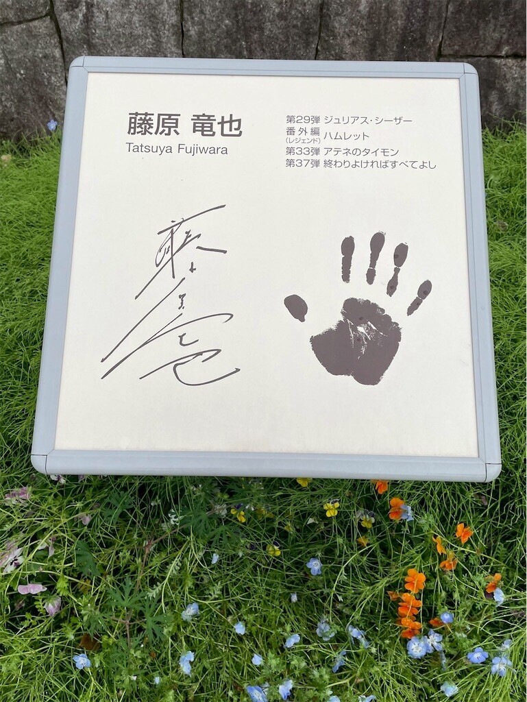 f:id:Magnoliarida:20250513085514j:image