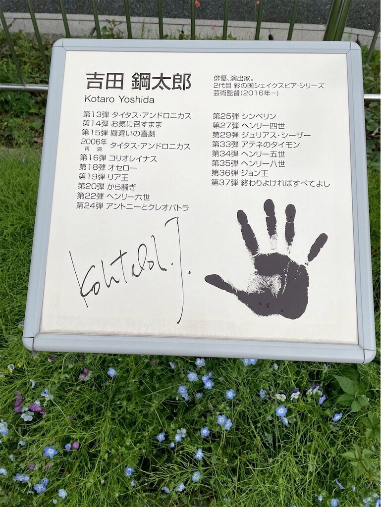 f:id:Magnoliarida:20250513085522j:image