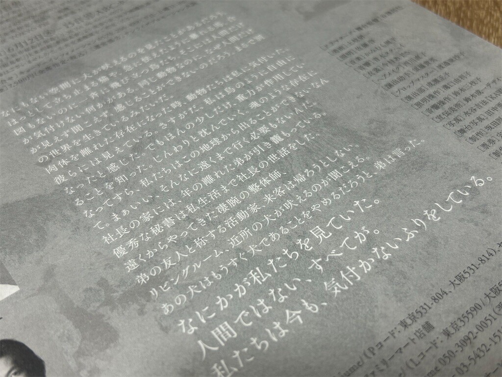 f:id:Magnoliarida:20250521231358j:image f:id:Magnoliarida:20250521231358j:image