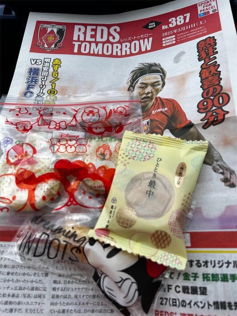 f:id:Magnoliarida:20250601233537j:image